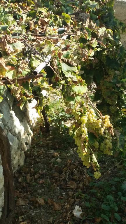 Sole E Fiori Di Sicilia Daire Valderice Dış mekan fotoğraf