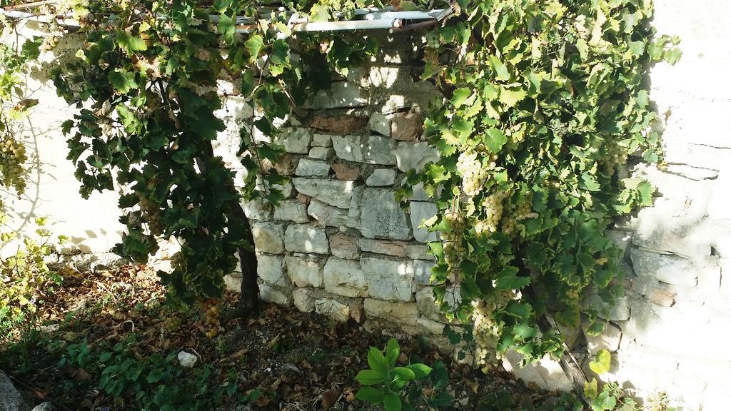 Sole E Fiori Di Sicilia Daire Valderice Dış mekan fotoğraf