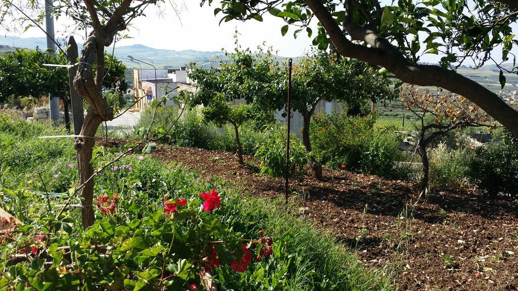 Sole E Fiori Di Sicilia Daire Valderice Dış mekan fotoğraf